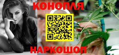 стаф Краснодар