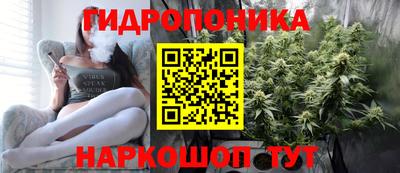 стаф Краснодар